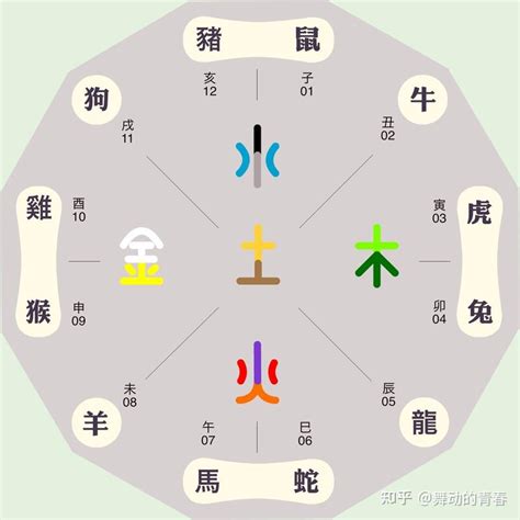 辰的五行|八字十二地支详解——辰